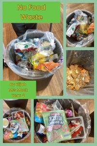 Eco- Schools Food Waste and Recycling Project 