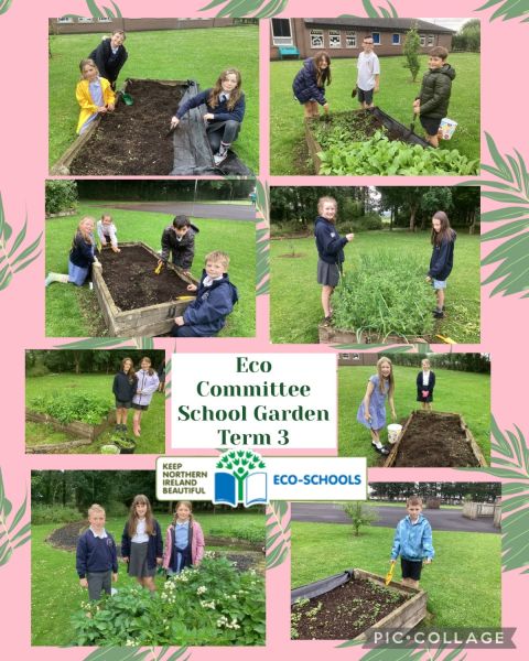 Eco Committee : Thank you for helping to look after the School Garden : Term 3 
