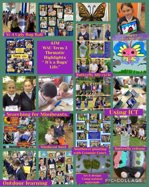 4JM WAU Thematic Highlights: “It’s a Bugs’ Life.” 