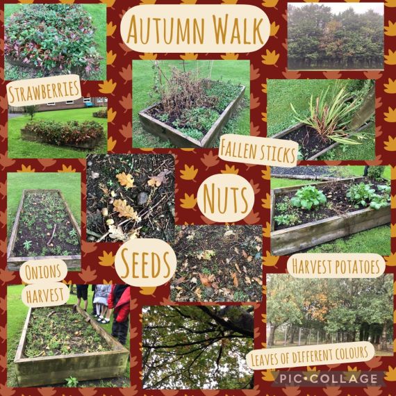 Year 4NMcN Autumn Walk