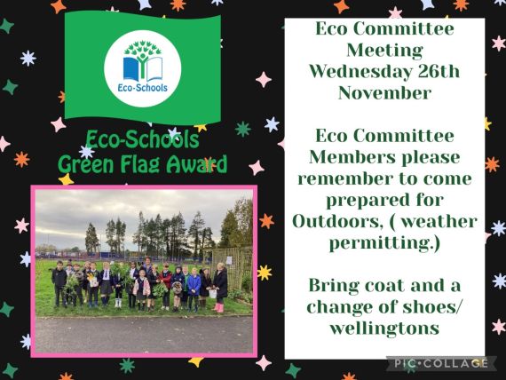 Eco - Schools Committee Meeting : Term 1B:- Eco Wednesday 26th November 