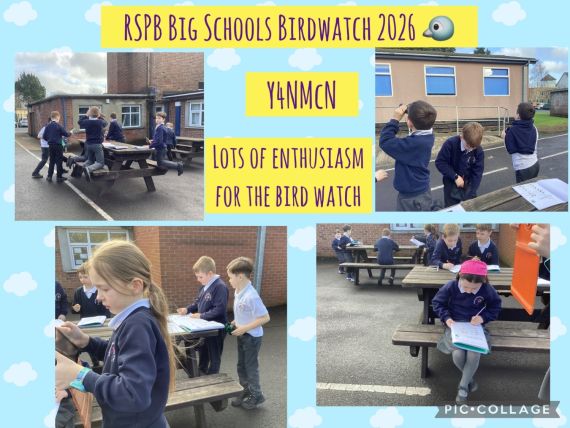 Year 4NMcN Big Schools’ Birdwatch