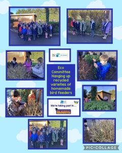 Eco Committee : Bird feeders placed in our school grounds 