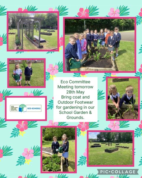 Eco Committee Meeting Wednesday 28th May 