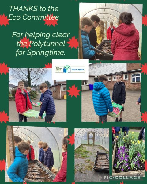 Eco Committee: Springtime preparations. Term 2B 2026.