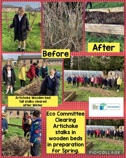 School Garden : Eco Committee enjoy gardening outdoors in Springtime 