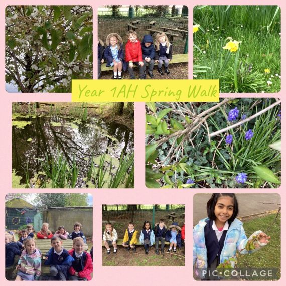 Year 1AH Spring Walk