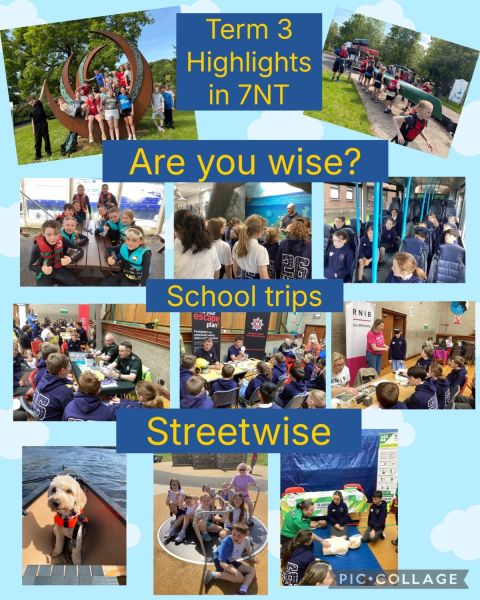 Term 3 Highlights in 7NT 